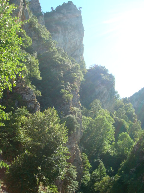 Oylat, Bursa